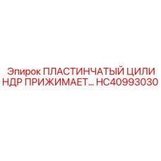 ПЛАСТИНЧАТЫЙ ЦИЛИНДР ПРИЖИМАЕТ HC40993030 Epiroc