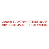 ПЛАСТИНЧАТЫЙ ЦИЛИНДР ПРИЖИМАЕТ HC40993040 Epiroc