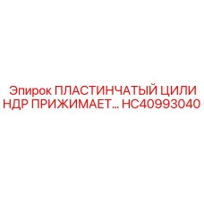 ПЛАСТИНЧАТЫЙ ЦИЛИНДР ПРИЖИМАЕТ HC40993040 Epiroc