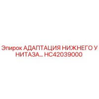 HC42039000 АДАПТАЦИЯ НИЖНЕГО УНИТАЗА… Epiroc