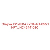 HC42441030 КРЫШКА КУЛАЧКА 855 1NPT Epiroc