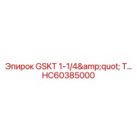 HC60385000 GSKT 1-1/4
