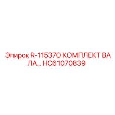 HC61070839 R-115370 Комплект вала Epiroc