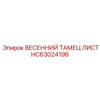 HC63024196 ВЕСЕННИЙ ТАМЕЦ ЛИСТ Epiroc