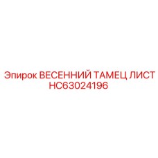 HC63024196 ВЕСЕННИЙ ТАМЕЦ ЛИСТ Epiroc