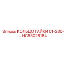 HC63028184 КОЛЬЦО ГАЙКИ 01-230-… Epiroc
