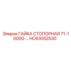HC63052530 ГАЙКА СТОПОРНАЯ 71-10000-… Epiroc