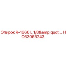 HC63065243 R-1666 L 1/8
