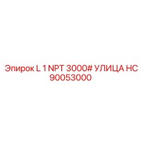 HC90053000 L 1 NPT 3000# УЛИЦА Epiroc