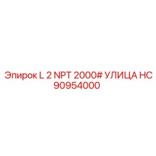 HC90954000 L 2 NPT 2000# УЛИЦА Эпирок