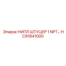 HC91841000 НИПЛ ШТУЦЕР 1 NPT Epiroc