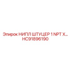 HC91896190 НИПЛ ШТУЦЕР 1 NPT X… Epiroc