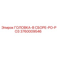 3760009546 ГОЛОВКА-В СБОРЕ-PO-PO3 Epiroc