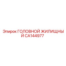 CA144977 ГОЛОВНОЙ ЖИЛИЩНЫЙ Epiroc