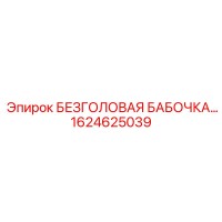 1624625039 БЕЗГОЛОВАЯ БАБОЧКА Epiroc