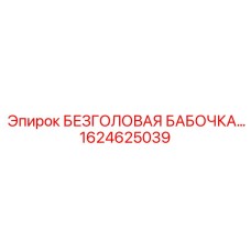 1624625039 БЕЗГОЛОВАЯ БАБОЧКА Epiroc