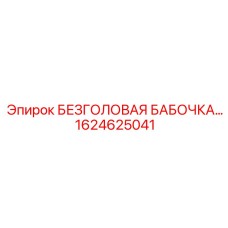 1624625041 БЕЗГОЛОВАЯ БАБОЧКА Epiroc