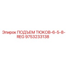 9753233138 ПОДЪЕМ ТЮКОВ-6-5-8-REG Epiroc