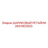 2651903920 ШАРИКОВЫЙ РЕТАЙНИ Epiroc