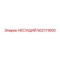 502111600 НЕСУЩИЙ Epiroc