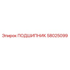 58025099 ПОДШИПНИК Epiroc