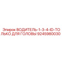9245980030 ВОДИТЕЛЬ-1-3-4-ID-ТОЛЬКО ДЛЯ ГОЛОВЫ Epiroc