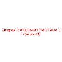 3176436108 ТОРЦЕВАЯ ПЛАСТИНА Epiroc