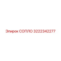 3222342277 СОПЛО Эпирок