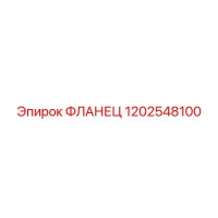 1202548100 ФЛАНЕЦ Epiroc