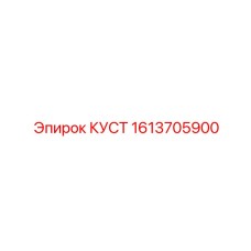 1613705900 КУСТ Эпирок
