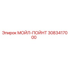3083417000 МОЙЛ-ПОЙНТ от Epiroc