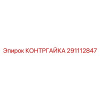 291112847 КОНТРГАЙКА Epiroc