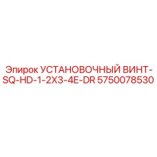 5750078530 УСТАНОВОЧНЫЙ ВИНТ-SQ-HD-1-2X3-4E-DR Epiroc