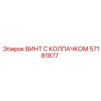 57181877 ВИНТ С КОЛПАЧКОМ Epiroc