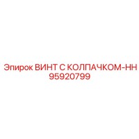 95920799 ВИНТ С КОЛПАЧКОМ-HH Epiroc