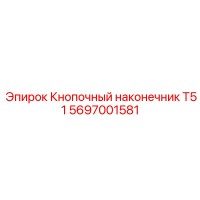 5697001581 Кнопочный наконечник T51 Epiroc