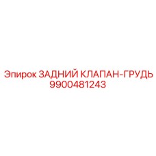 9900481243 ЗАДНИЙ КЛАПАН-ГРУДЬ Epiroc