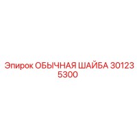 301235300 ОБЫЧНАЯ ШАЙБА Epiroc