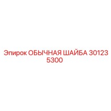 301235300 ОБЫЧНАЯ ШАЙБА Epiroc