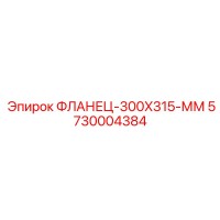 5730004384 ФЛАНЕЦ-300X315-ММ Epiroc