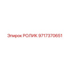9717370651 РОЛИК Epiroc