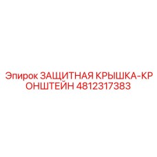 4812317383 ЗАЩИТНАЯ КРЫШКА-КРОНШТЕЙН Epiroc