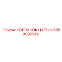 5589999919 КОЛПАЧОК ЦАПФЫ Epiroc