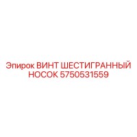 5750531559 ВИНТ ШЕСТИГРАННЫЙ НОСОК Epiroc