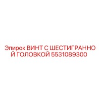 5531089300 ВИНТ С ШЕСТИГРАННОЙ ГОЛОВКОЙ Epiroc