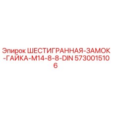 5730015106 ШЕСТИГРАННАЯ-ЗАМОК-ГАЙКА-M14-8-8-DIN Epiroc