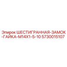 5730015107 ШЕСТИГРАННАЯ-ЗАМОК-ГАЙКА-M14X1-5-10 Epiroc