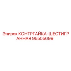 95505699 КОНТРГАЙКА-ШЕСТИГРАННАЯ Epiroc