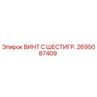 2695087409 ВИНТ С ШЕСТИГР. Epiroc