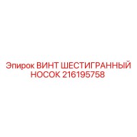 216195758 ВИНТ ШЕСТИГРАННЫЙ НОСОК Epiroc
